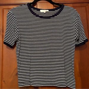 Lime Blue Navy Blue and White Striped T Shirt